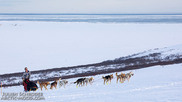 Nome-Iditarod2019-JSchroder_20190313_D4_7754
