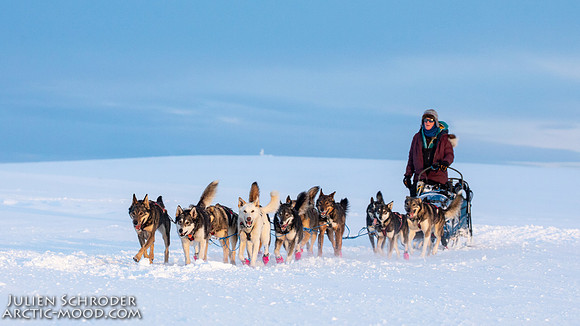 Nome-Iditarod2019-JSchroder_20190313_D4_7960