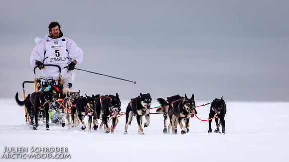 CapeNome-Iditarod2019-JSchroder_20190315_D4_8393