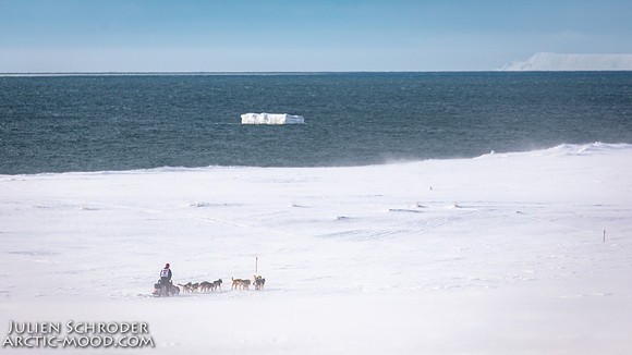 Nome-Iditarod2019-JSchroder_20190313_D4_7462