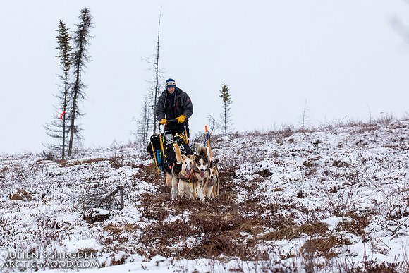 untitled-Iditarod2019-JSchroder_20190307_D4_5669