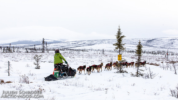 untitled-Iditarod2019-JSchroder_20190307_D4_5588