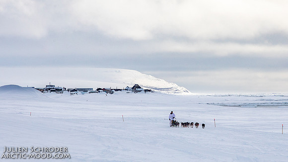 CapeNome-Iditarod2019-JSchroder_20190315_D4_8632