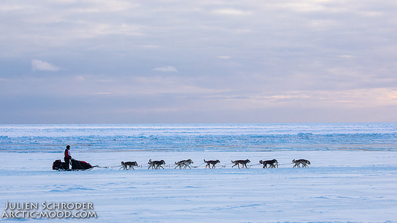 CapeNome-Iditarod2019-JSchroder_20190315_D4_8906