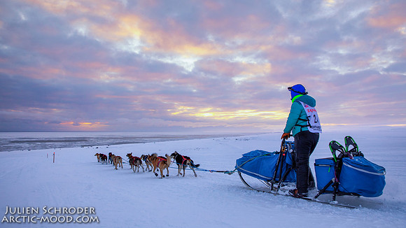 CapeNome-Iditarod2019-JSchroder_20190315_D4_9120-Edit