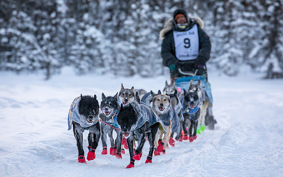 2_Two Rivers_YukonQuest2018_untitled_YukonQuest2018_13690_JSchroder-2