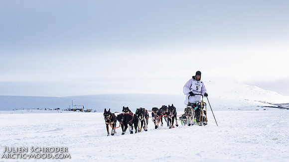 CapeNome-Iditarod2019-JSchroder_20190315_D4_8513
