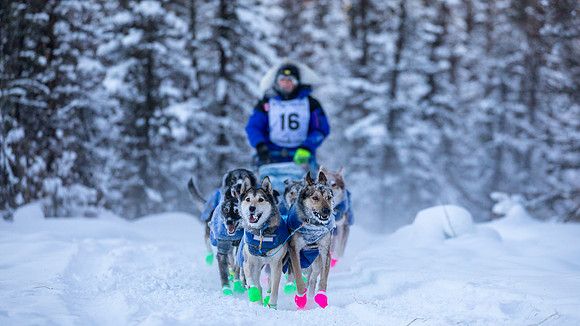 2_Two Rivers_YukonQuest2018_untitled_YukonQuest2018_13776_JSchroder-2