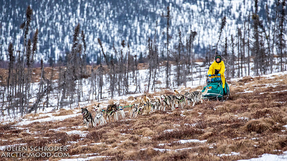 untitled-Iditarod2019-JSchroder_20190309_D4_6152