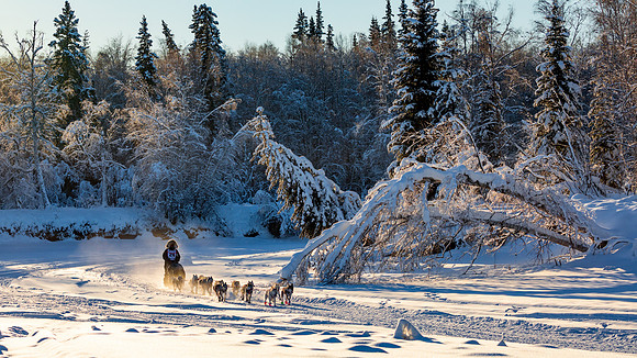 2_Two Rivers_YukonQuest2018_untitled_YukonQuest2018_13607_JSchroder-2