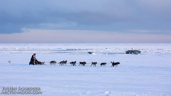 CapeNome-Iditarod2019-JSchroder_20190315_D4_8929