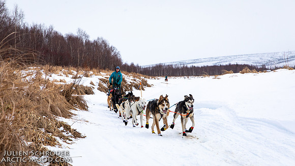 Iditarod-Iditarod2019-JSchroder_20190308_D4_5978