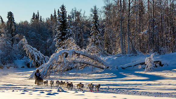 2_Two Rivers_YukonQuest2018_untitled_YukonQuest2018_13614_JSchroder-2
