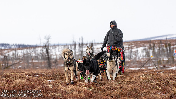Iditarod-Iditarod2019-JSchroder_20190308_D4_6058