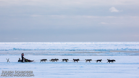CapeNome-Iditarod2019-JSchroder_20190315_D4_8894