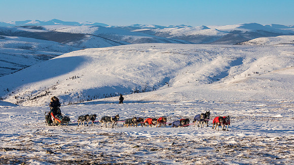 3_Mile101_YukonQuest2018_Eagle_summit_YukonQuest2018_14060_JSchroder-2