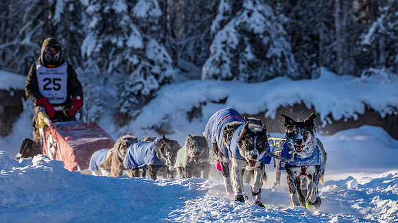2_Two Rivers_YukonQuest2018_untitled_YukonQuest2018_13574_JSchroder-2