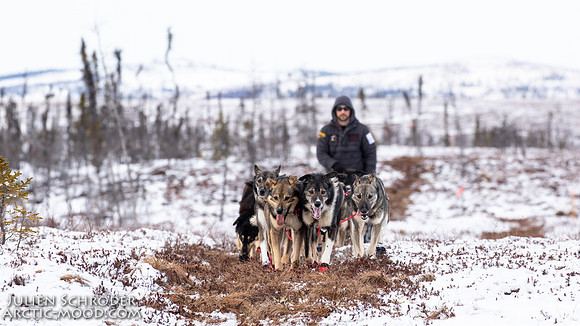 iditarod-Iditarod2019-JSchroder_20190307_D4_5903