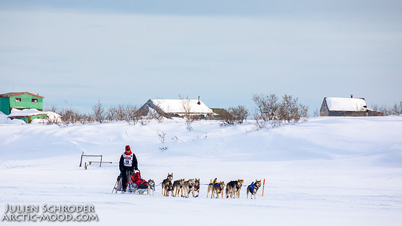 Nome-Iditarod2019-JSchroder_20190313_D4_7560