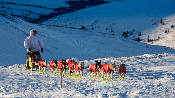 3_Mile101_YukonQuest2018_Eagle_summit_YukonQuest2018_14046_JSchroder-2