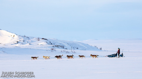 Nome-Iditarod2019-JSchroder_20190313_D4_7896