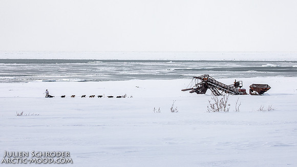 CapeNome-Iditarod2019-JSchroder_20190315_D4_8562