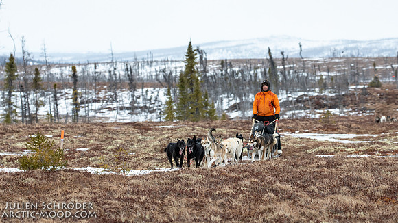 iditarod-Iditarod2019-JSchroder_20190309_D4_6443