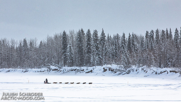 McGrath-Iditarod2019-JSchroder_20190306_D4_5176