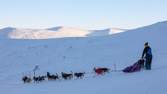 3_Mile101_YukonQuest2018_Eagle_summit_YukonQuest2018_14145_JSchroder-2