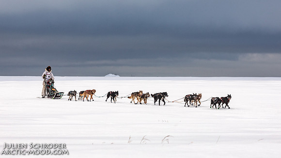CapeNome-Iditarod2019-JSchroder_20190315_D4_8365