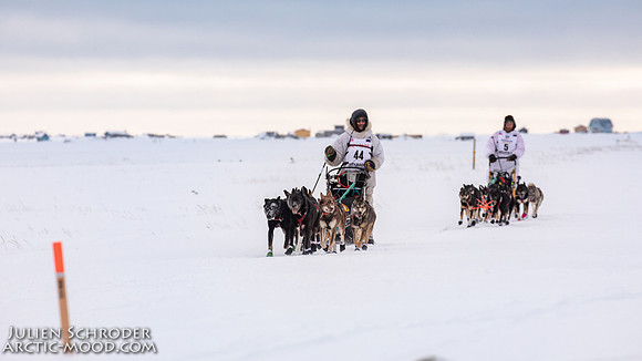 CapeNome-Iditarod2019-JSchroder_20190315_D4_8282