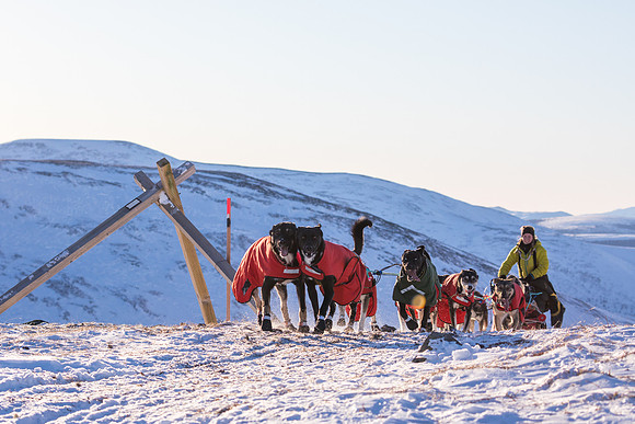 3_Mile101_YukonQuest2018_Eagle_summit_YukonQuest2018_14339_JSchroder-2