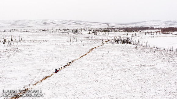 Iditarod-Iditarod2019-JSchroder_20190308DJI_0826