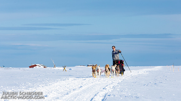 Nome-Iditarod2019-JSchroder_20190313_D4_7721