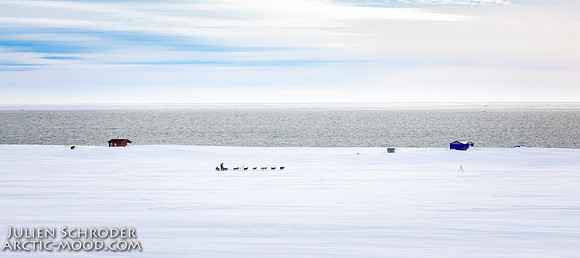 Nome-Iditarod2019-JSchroder_20190313_D4_7542