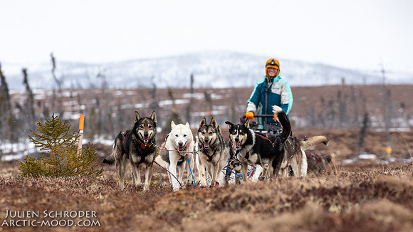 iditarod-Iditarod2019-JSchroder_20190309_D4_6453