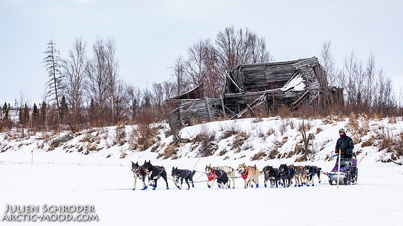 iditarod-Iditarod2019-JSchroder_20190307_D4_5815