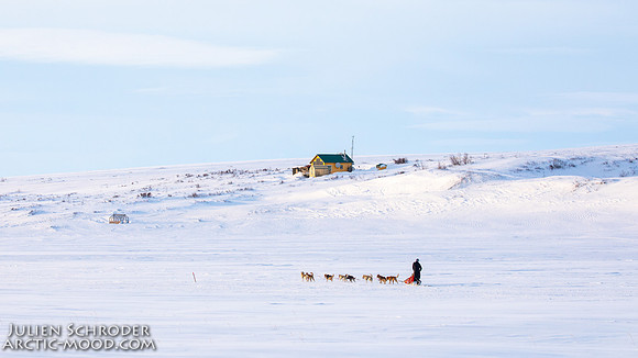 Nome-Iditarod2019-JSchroder_20190313_D4_7891