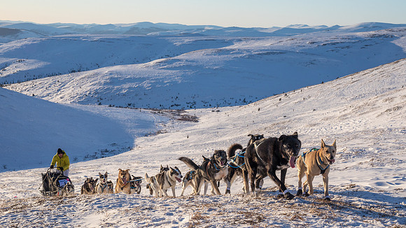 3_Mile101_YukonQuest2018_Eagle_summit_YukonQuest2018_14447_JSchroder-2