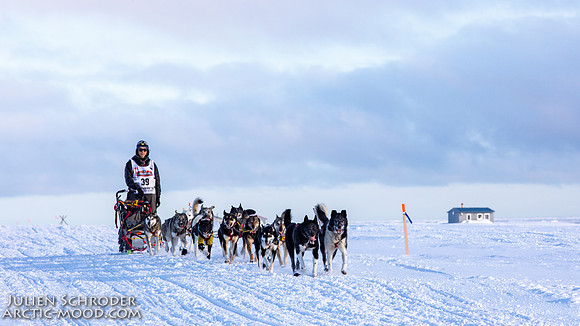 CapeNome-Iditarod2019-JSchroder_20190315_D4_8833
